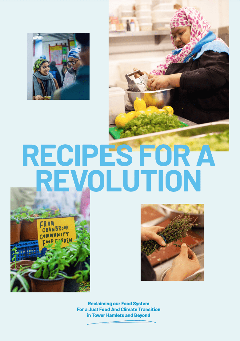 Recipes For Revolutions JUST FACT