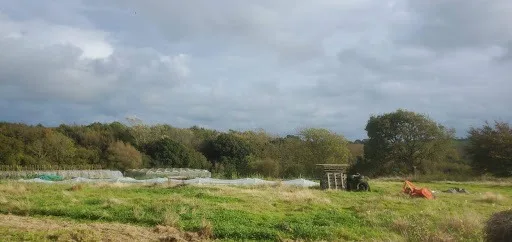 folx farm