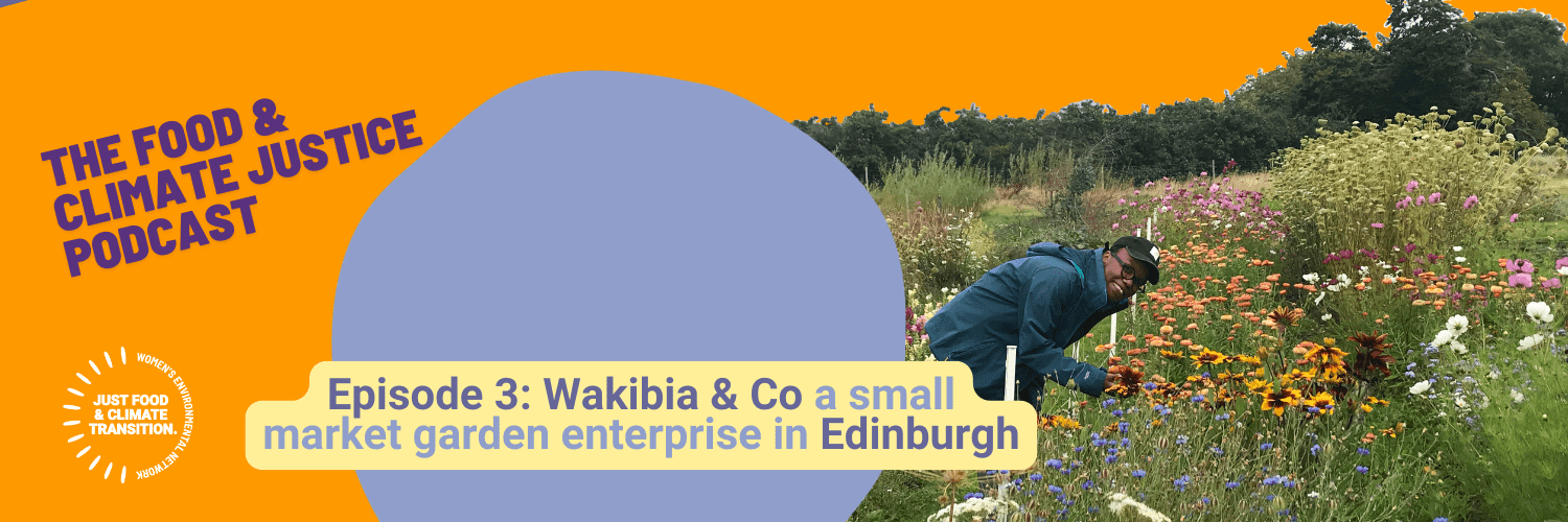 Agnus Tati in the field of flowers