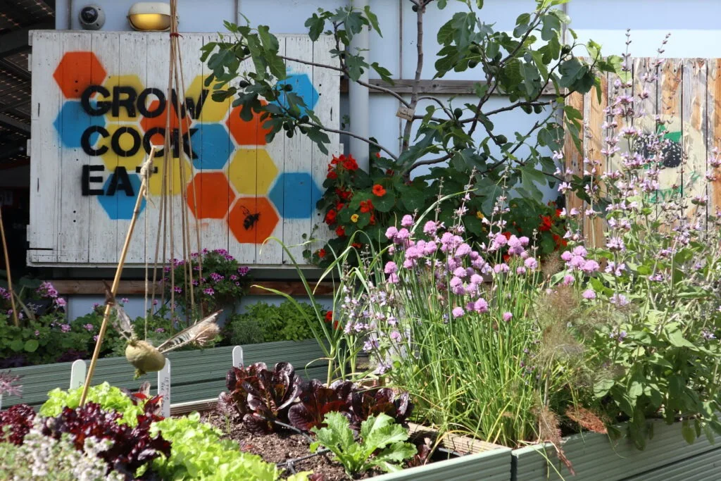 Providence Row - garden