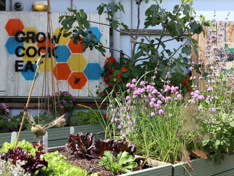 47908892021_512e6e40cb_o