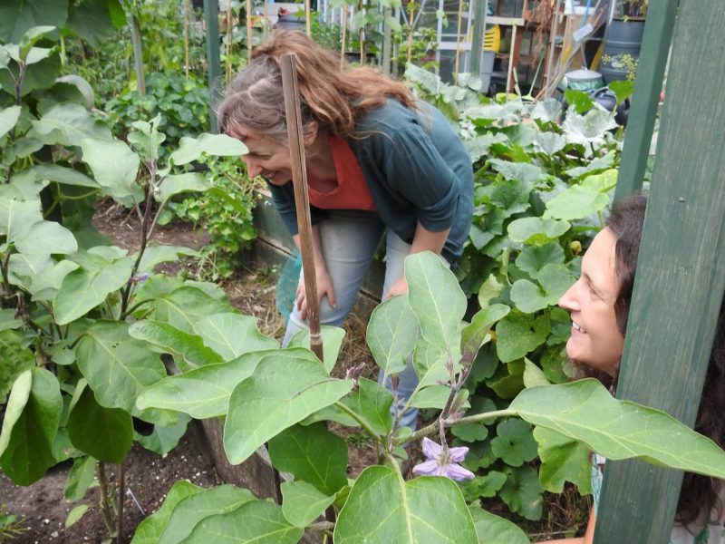 CRANBROOK COMMUNITY FOOD GARDEN