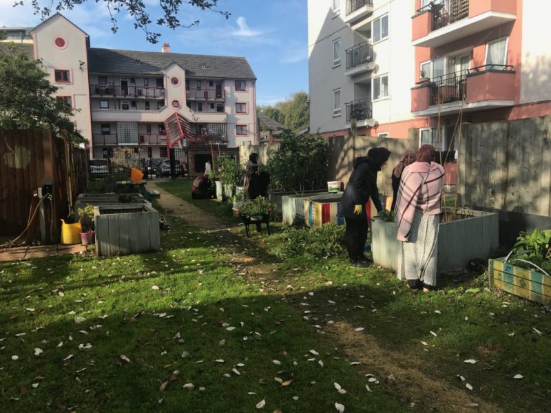 Limborough_Gardening_02-1024x768