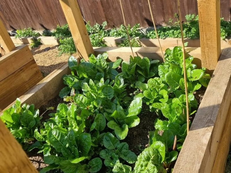 Screenshot_20250320_014057_Instagram