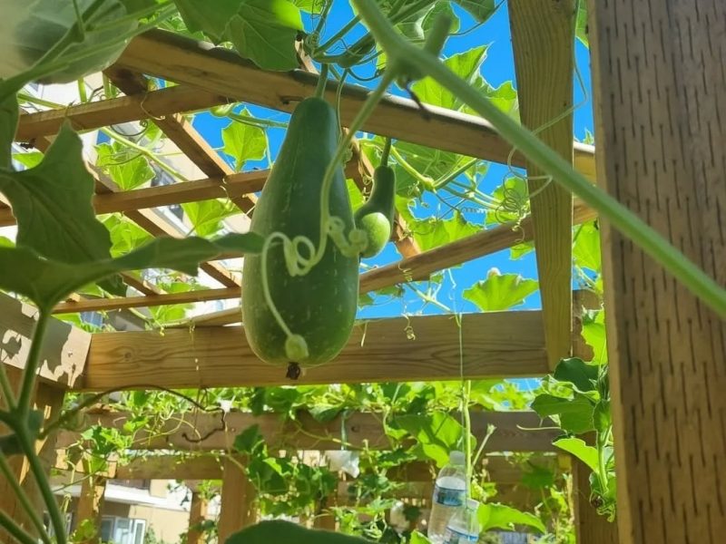 Screenshot_20251229_235542_Instagram