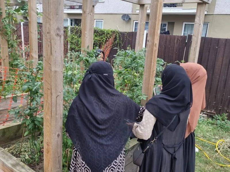 Screenshot_20260205_111627_Instagram