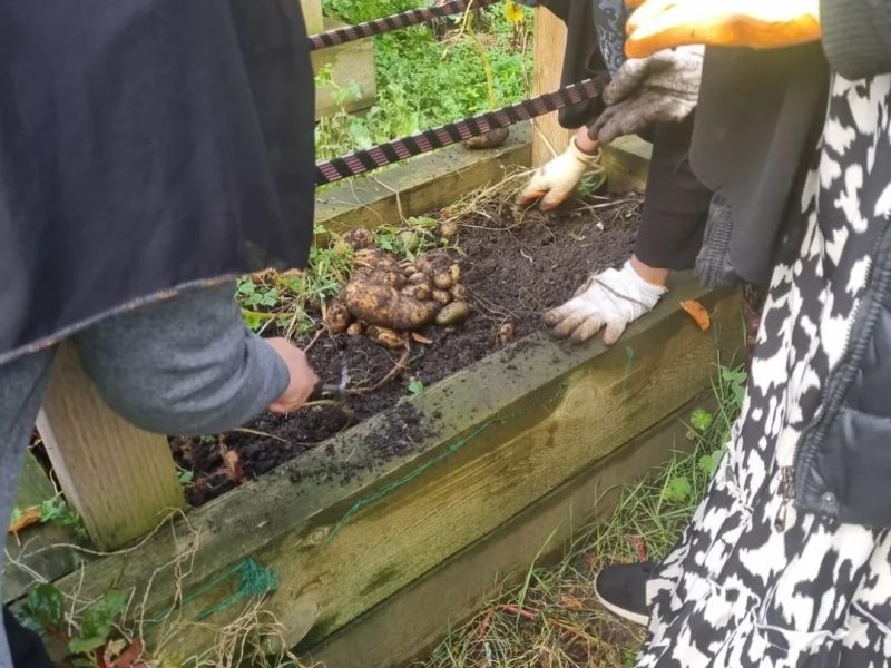 Screenshot_20260205_111726_Instagram