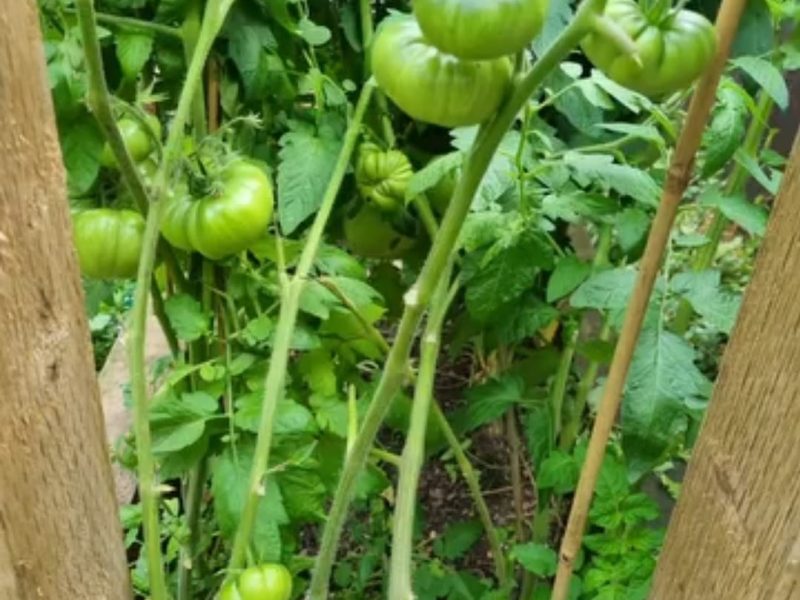 Screenshot_20260205_112338_Instagram