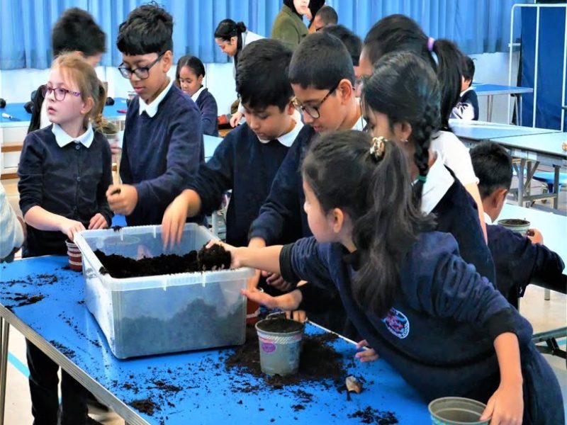 Seven Mills Primary School 1