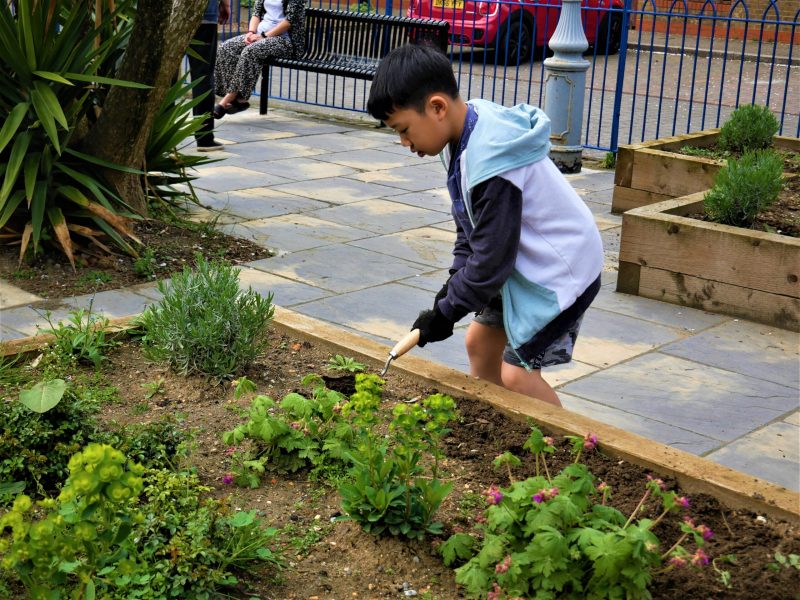 Seven Mills Primary School 4