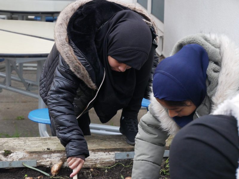 Seven Mills Primary School 5