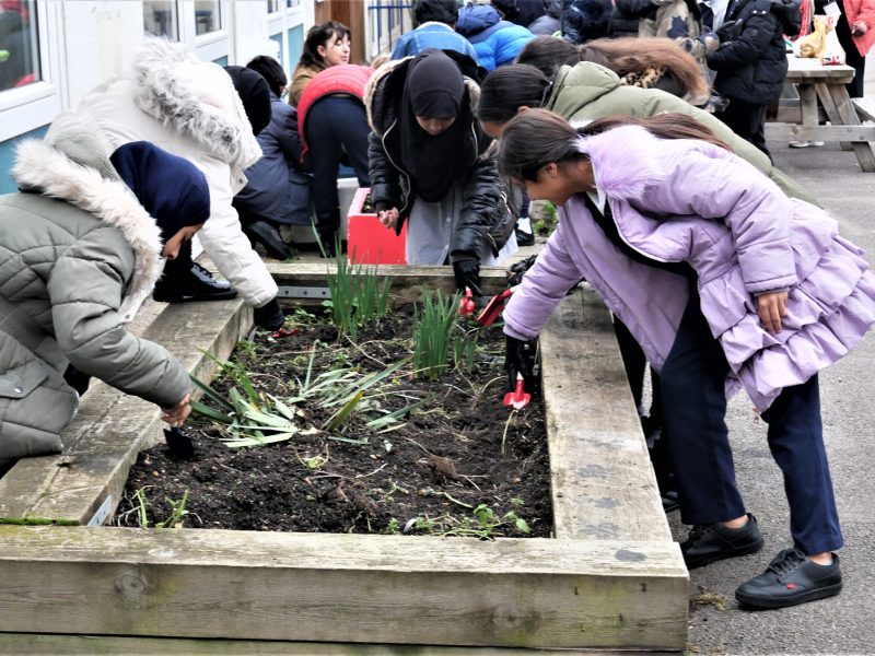 Seven Mills Primary School 9