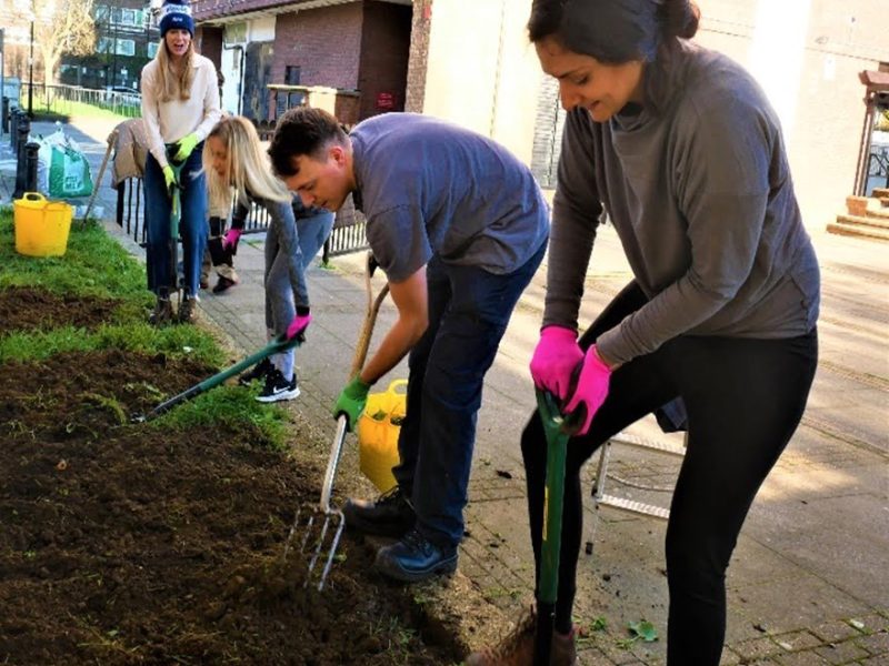 The Old Surgery Garden construction 1